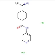 Nr CAS146986-50-7|Dichlorowodorek Y 27632