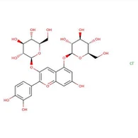 Nr CAS2611-67-8|CHLOREK CYJANINY